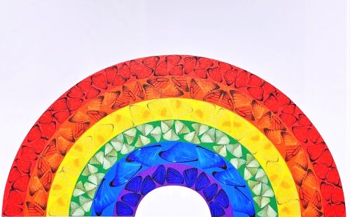 ダミアンハースト　「Butterfly rainbow」の買取作品画像